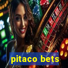 pitaco bets